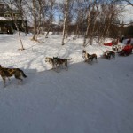 Startklara spann i Saltoluokta