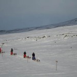 Kungsleden med ledkryss