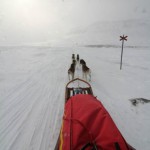 Med hundspann på Kungsleden