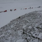 Hundspannsgruppen söker skydd i bäckravin.