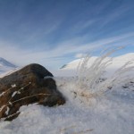 Gukkesvagge i Sarek.