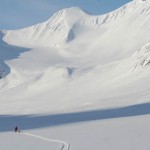 Hundspann i Ruotesvagge, Sareks Nationalpark.
