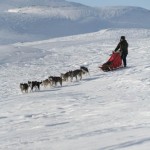 Tove med sitt hundspann.